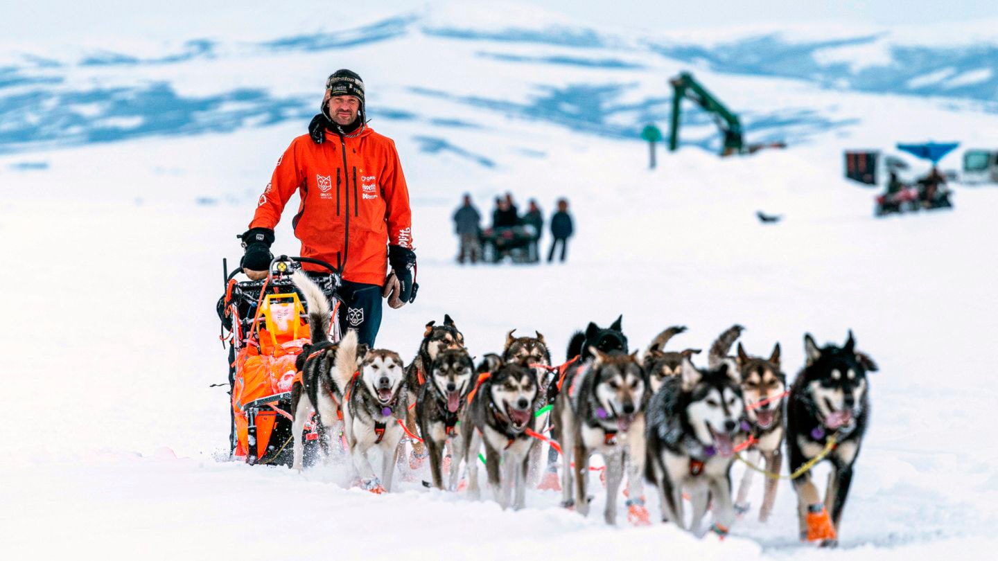Nordmann vant Iditarod